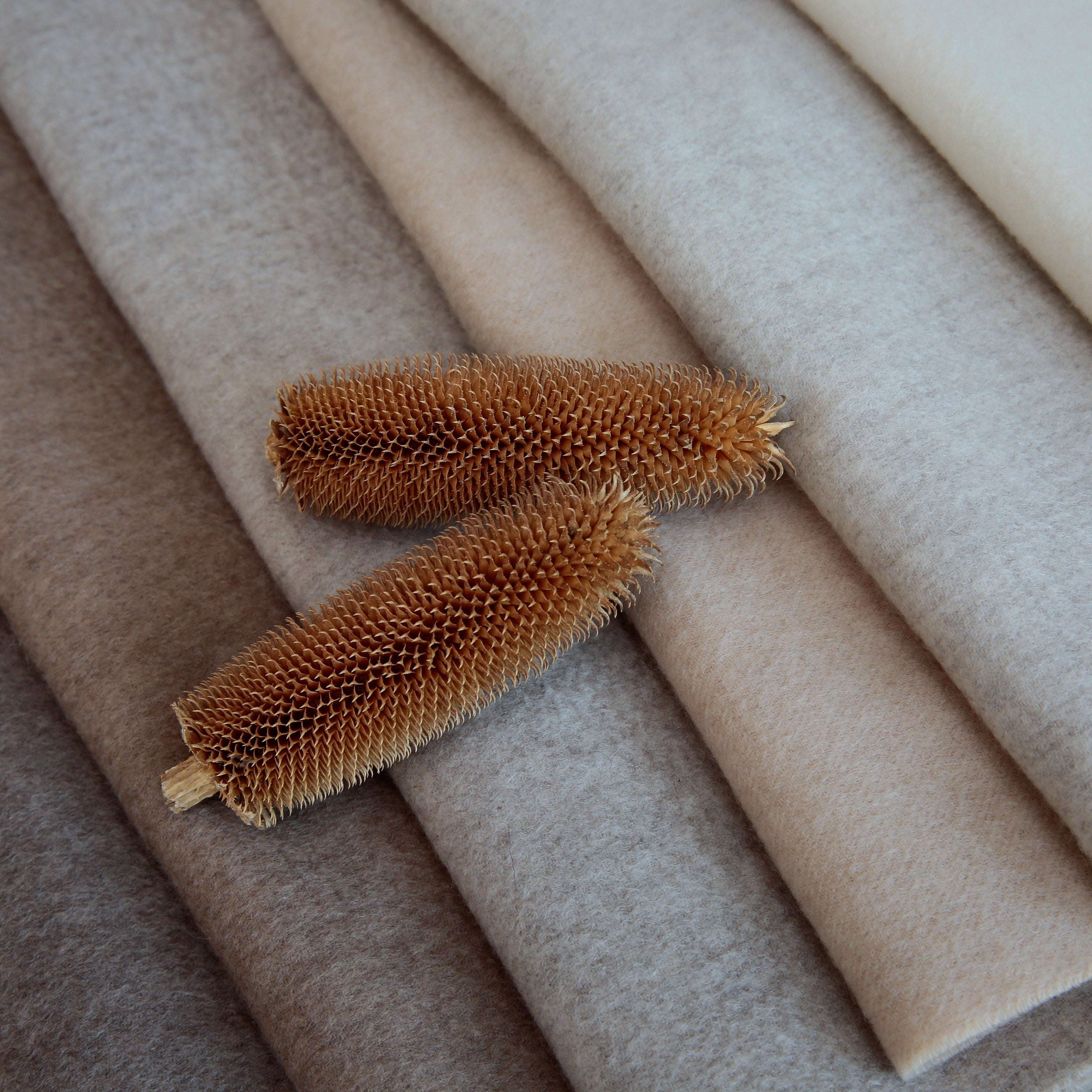 COLUMN/無染色のはなし